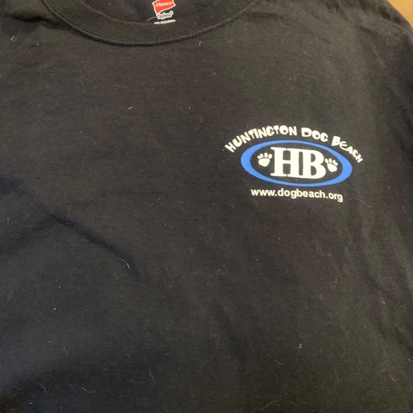 Dog beach Huntington Beach ca - Picture 2 of 4